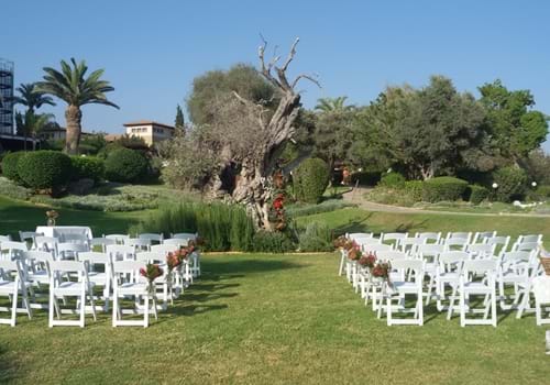 St Raphael Limassol Cyprus Olive Tree Ceremony Wedding Venue Olympic Weddings