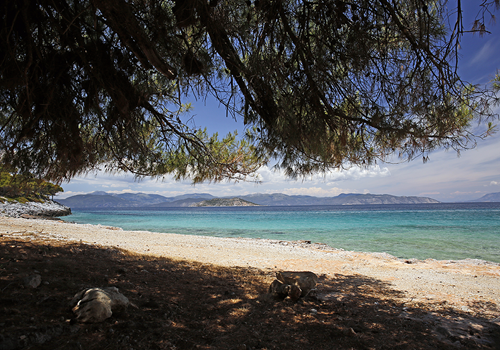 Island's view at Agistri apartment